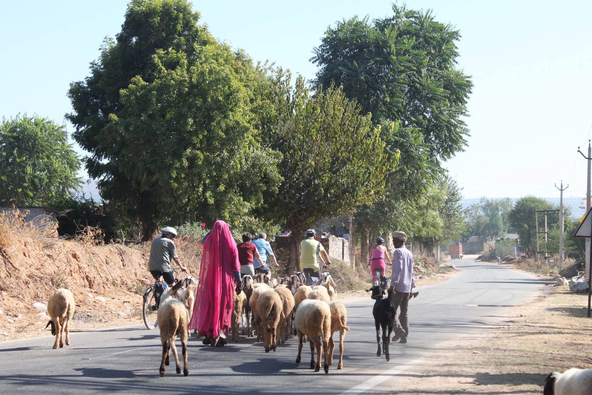 10 Days Southern India - Karala Cycling Holidays